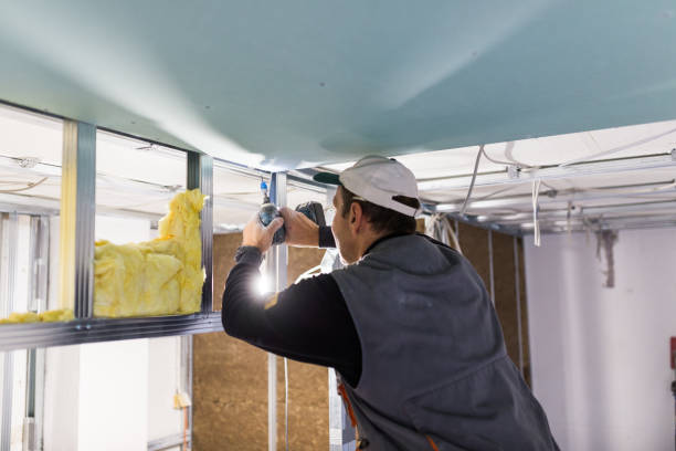 Best Cellulose Insulation in Abbeville, AL