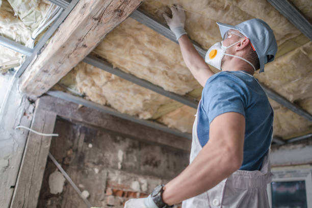 Best Energy Efficiency Insulation in Abbeville, AL