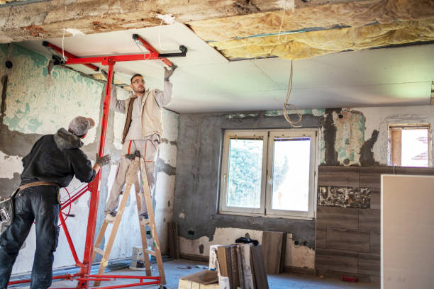 Best DIY Insulation Kits and Guidance in Abbeville, AL