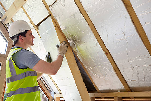 Trusted Abbeville, AL Insulation Contractor Experts